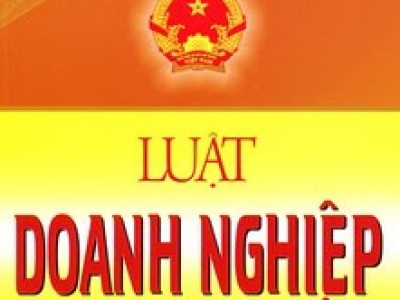 越南社会主义共和国私人营业法(越南私人企业法)